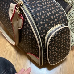 
犬と出掛ける時のバックの画像