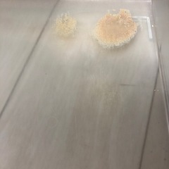 小動物ケージの画像