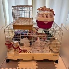 うさぎ飼育セット　18点セットの画像