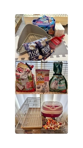 うさぎ飼育セット　18点セット