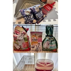 うさぎ飼育セット　18点セットの画像