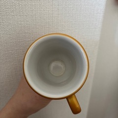 美女と野獣のカップの画像