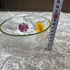 ガラス ガラス食器 ガラスボウルの画像