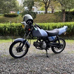 SUZUKI  GS50 吸い込み
マシンの画像
