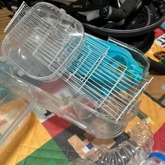 即売り希望！‼︎ハムスター飼育セット の画像