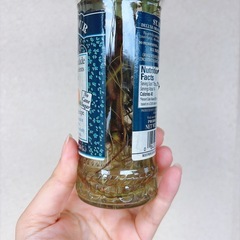 観葉植物 ポトス ネオンの画像
