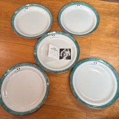 【新品未使用】Linea Moricca　カレー・パスタ皿 5枚セットの画像