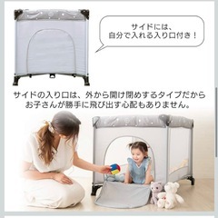 アイリスプラザ  プレイヤード スタンダードの画像
