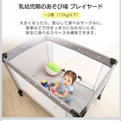 アイリスプラザ  プレイヤード スタンダードの画像