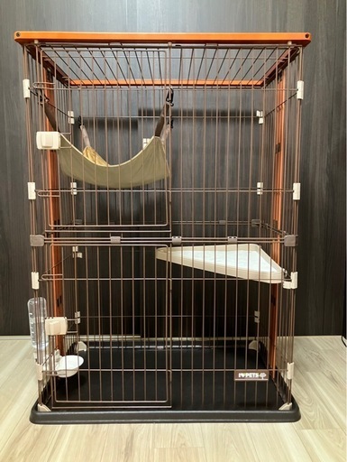 サークルキャット