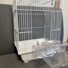 急いで‼️💦明日１６日迄掲載‼️飼育グッズ♫インコや文鳥に♡清掃済み‼️美品✨激安‼️　鳥かご　¥600の画像