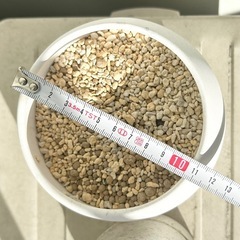 10/26まで 植木鉢2個SETの画像