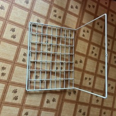あみのようなものの画像