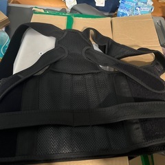 姿勢の達人姿勢＆腰サポーター Wの画像