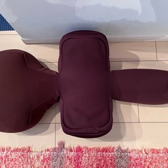 リラクッション　カバー付き　DLの画像