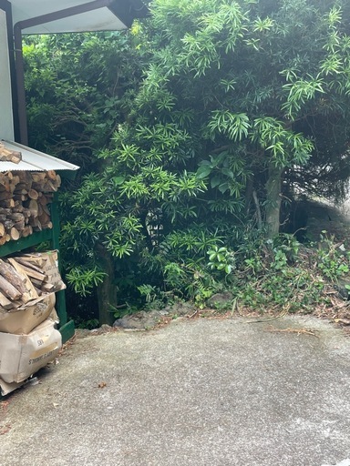 樹木の伐採、草刈りなど、、、