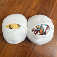 ポケモン ブランケット2つの画像