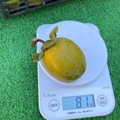 渋柿1つ20円80gサイズ柿の画像