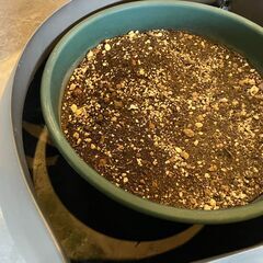 植木鉢 プランター 大型の画像
