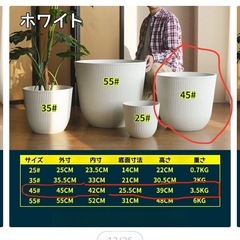 プランター　大　ホワイト　リブ型の画像