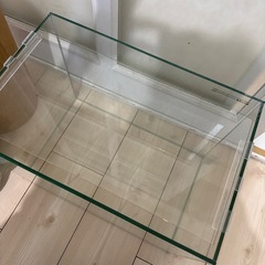 ガラス水槽　の画像