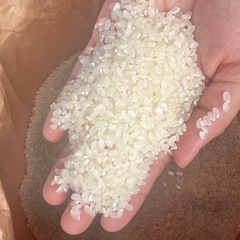 R7 彩のきずな　玄米　30キロの画像