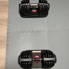 MADBULL ダンベル 可変式 24kgの画像