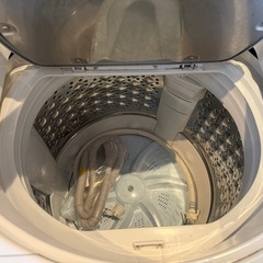 東芝　2019年　AW-8V8 洗濯機 の画像