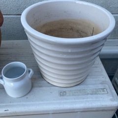 差し上げます！0円！家庭花壇、家庭菜園の画像
