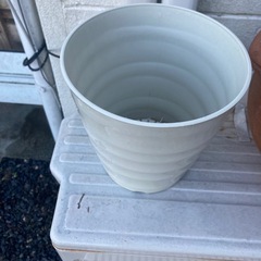 差し上げます！0円！家庭花壇、家庭菜園の画像