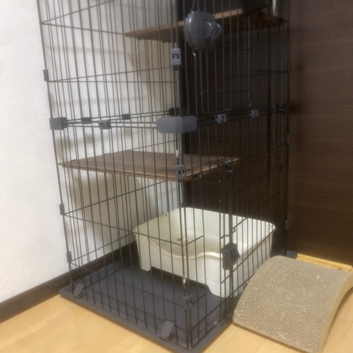 ゲージ