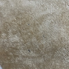 ホットカーペットカバーの画像