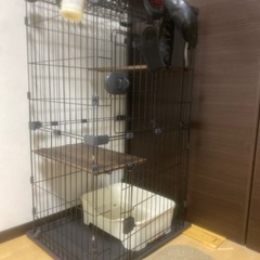 ゲージ  の画像