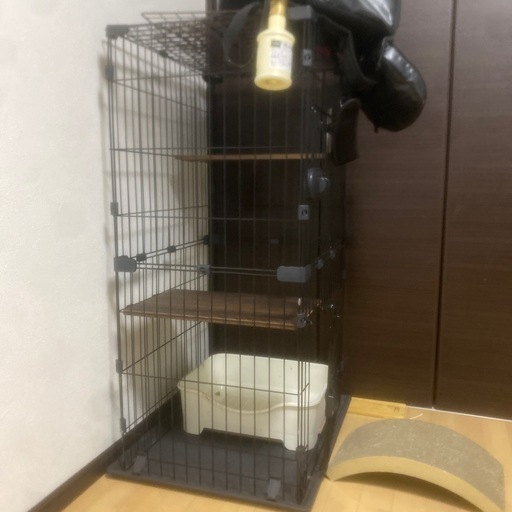 ゲージ
