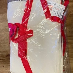 新品未開封　定価¥1500 ロピア　保冷エコバッグの画像