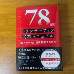 78日間　トランサーフィン実践マニュアルの画像