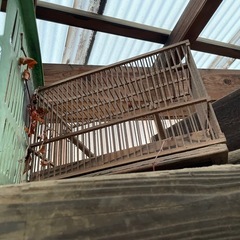 鳥かご　木材　大小２つの画像