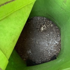 コンポスター コンポストバッグ 生ごみ 堆肥 肥料 不織布 の画像