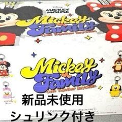 【新品未開封】DISNEY ミッキーファミリー キュート トゥギャザー シリーズの画像
