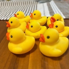 アヒルちゃん8兄弟の画像