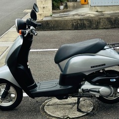 トゥデイバイク　AF67 原付　人気バイク (インジェクションエンジン)の画像