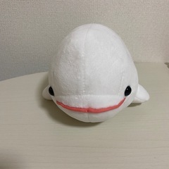 ぬいぐるみの画像
