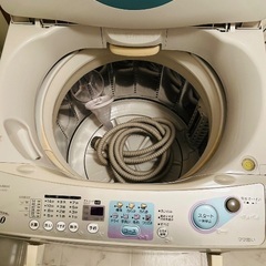 洗濯機　6.0ℓ譲ります‼︎の画像
