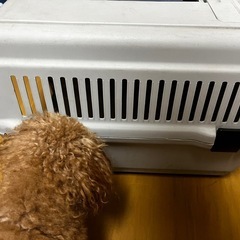 ペットトラベルキャリーの画像