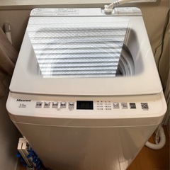 Hisense 5.5kg 洗濯機の画像