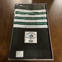 おしゃれ💟バスマット🫧INDIANAPOLISインディアナポリス500 ISM-25サイズ45cm×65cm品質アクリル100％箱付き❗️カラフルの画像