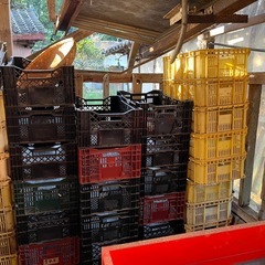 農業　コンテナ　無料　引き取り限定の画像