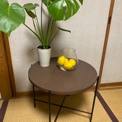 ニトリローテーブルの画像
