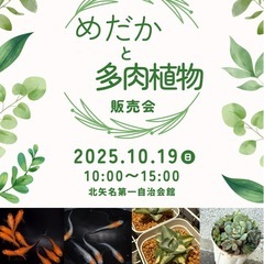 10/19（日）秦野市北矢名でメダカと多肉販売会を開催