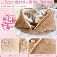 ペットベッド 猫 犬　ペットマット クッションの画像